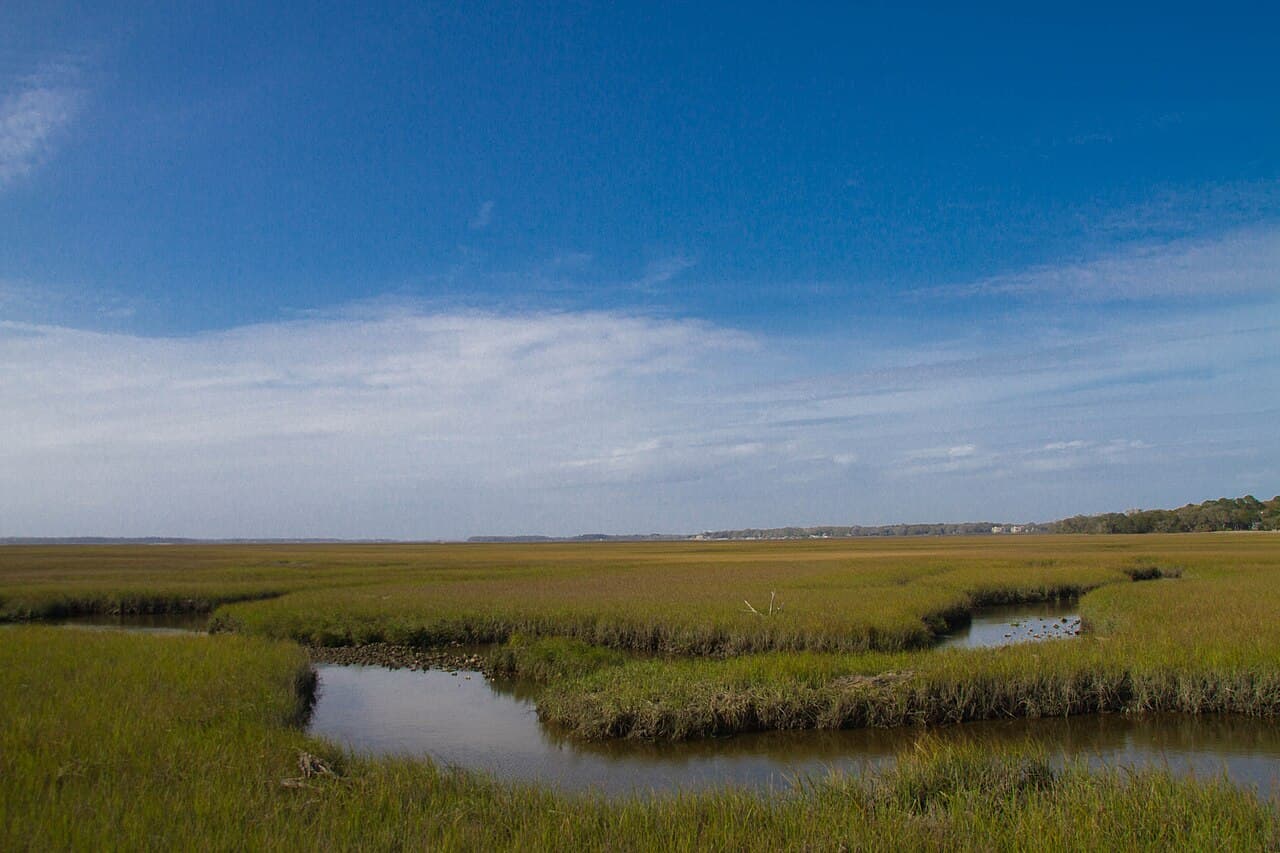 Amelia Island, Florida